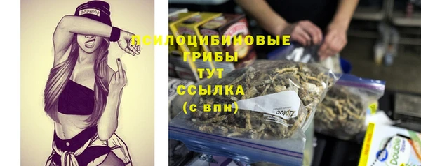 эйфоретик Аркадак