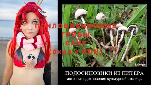 гидропоника Армянск
