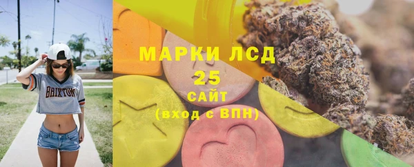 эйфоретик Аркадак