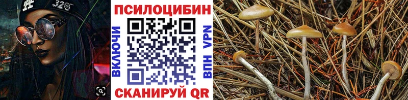 Галлюциногенные грибы Magic Shrooms  Чёрмоз 